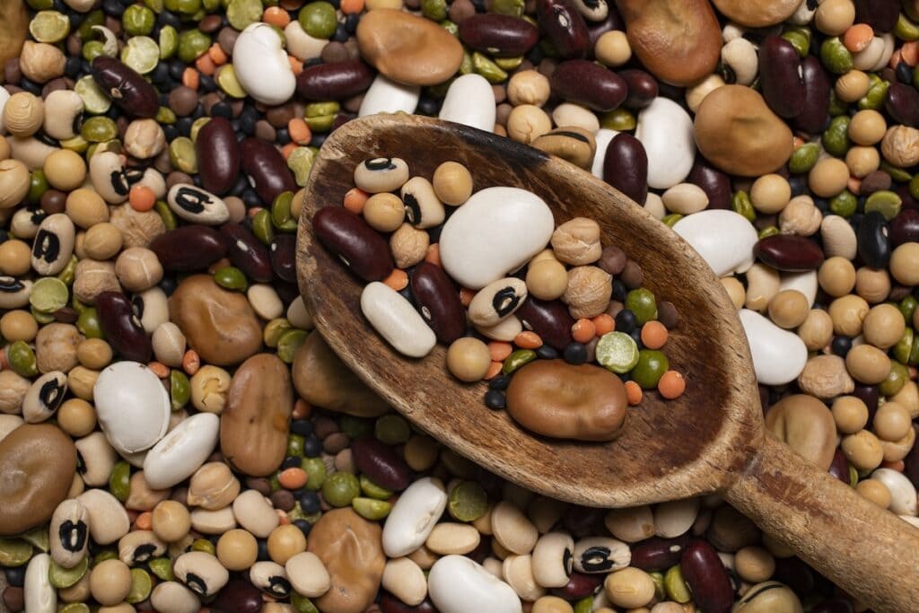 A wooden spoon filled with assorted dried legumes and beans sits atop a colorful mix of various beans, lentils, and pulses including black beans, white beans, chickpeas, green split peas, and red lentils.