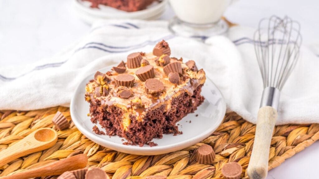 Chocolate cake with peanut butter frosting.