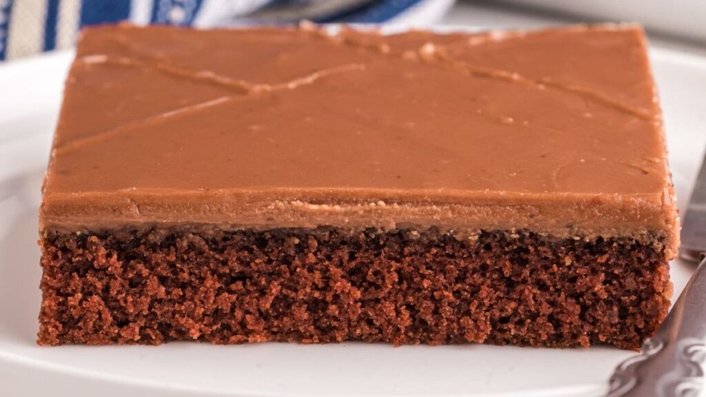 Chocolate sheet cake on a white plate.