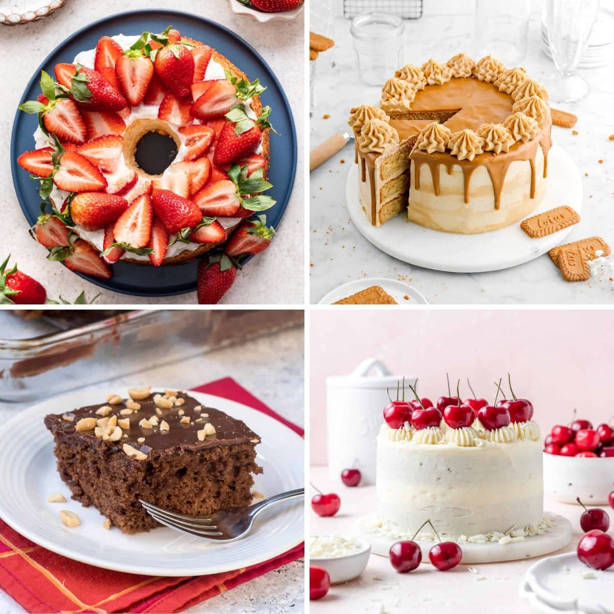 Homemade Cake Recipes Collage