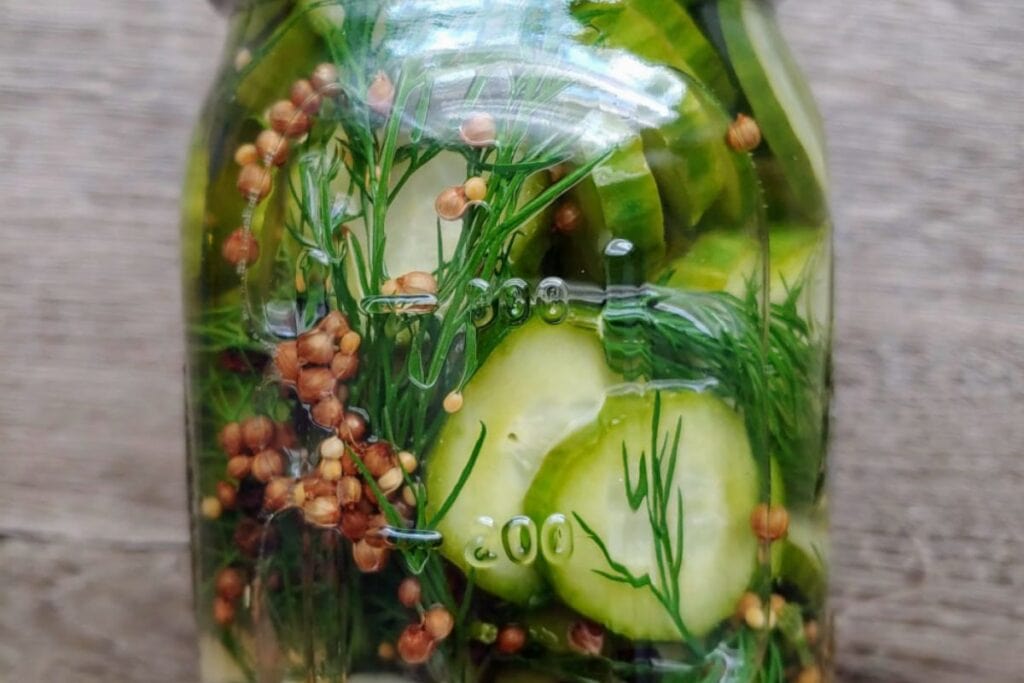Dill pickles in a jar.