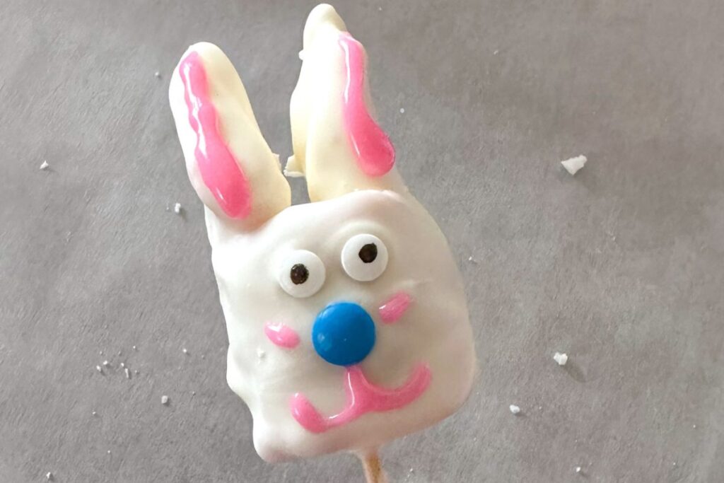 Chocolate marshmallow bunny on a stick.