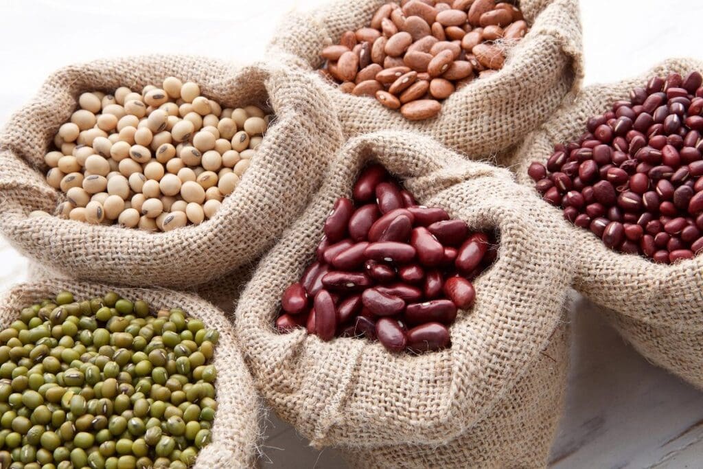 Sacks of dried beans.