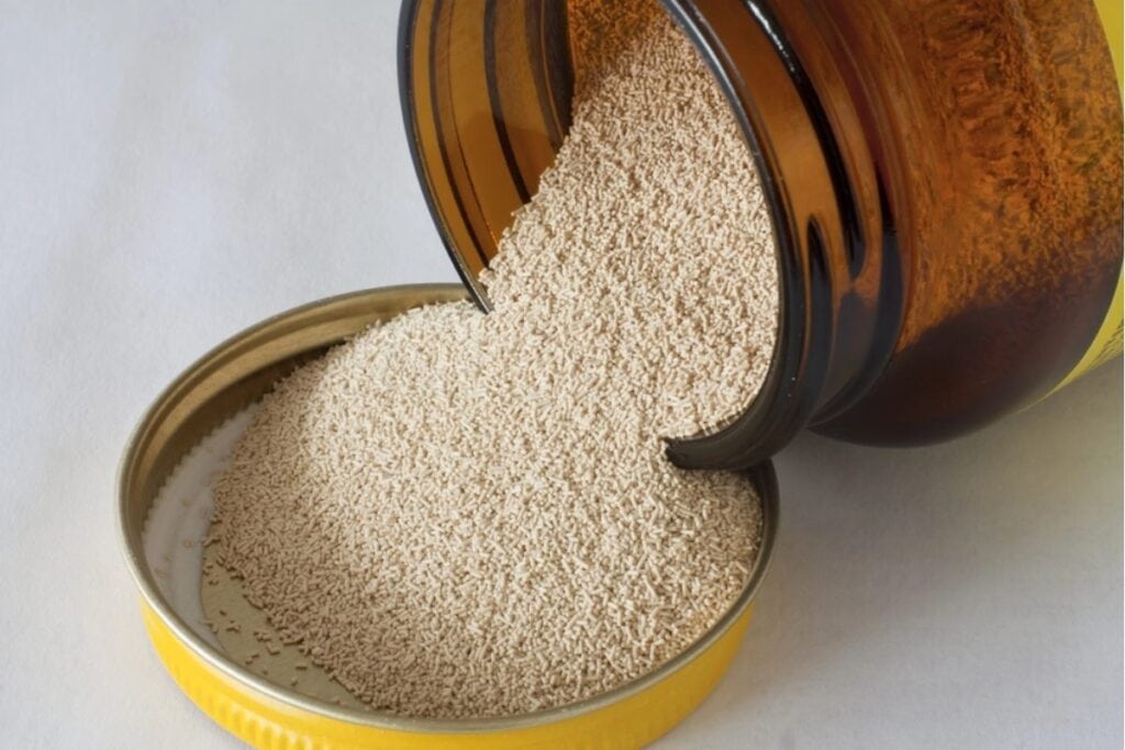 Dry yeast in a jar.