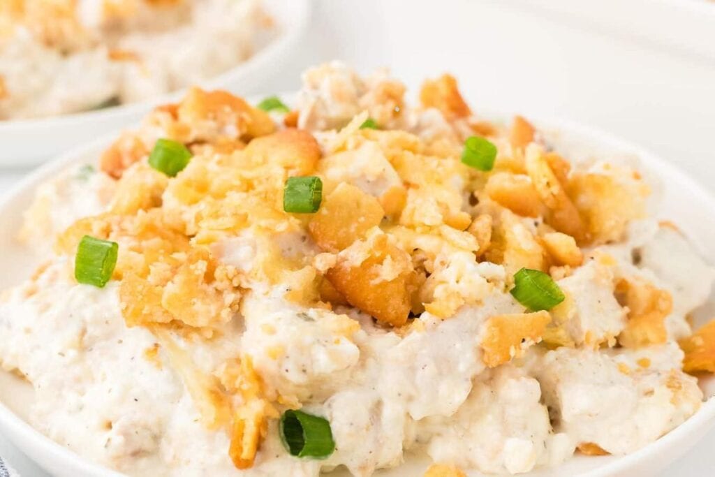 Chicken casserole close up shot.