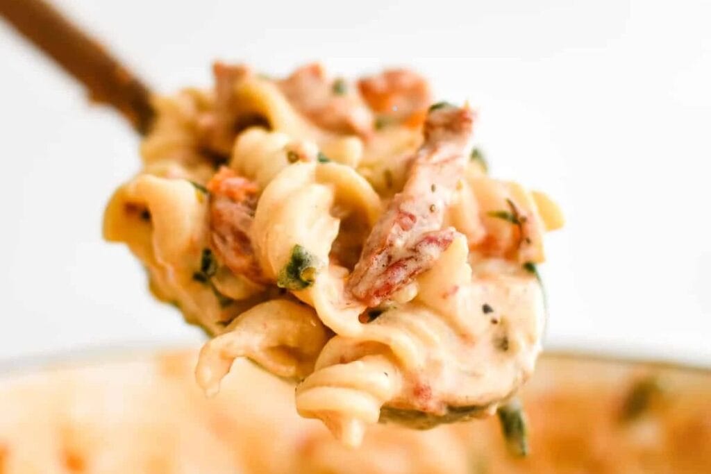 A spoonful of sun-dried tomato pasta.