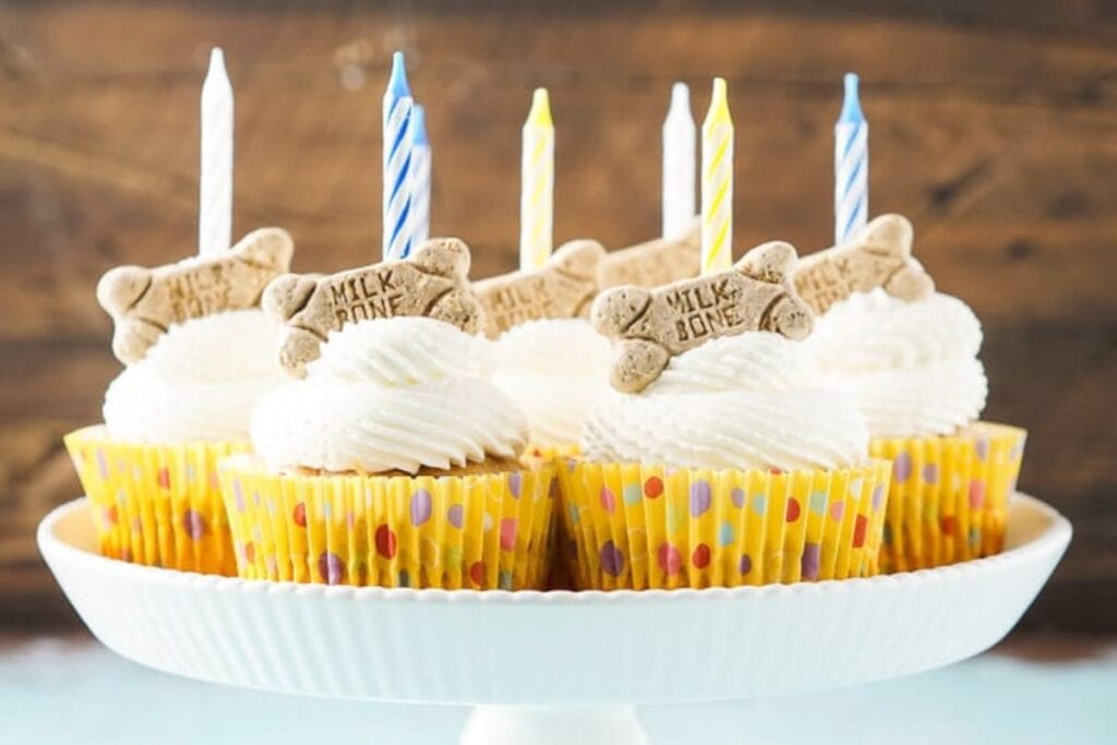 Pupcakes with white frosting.