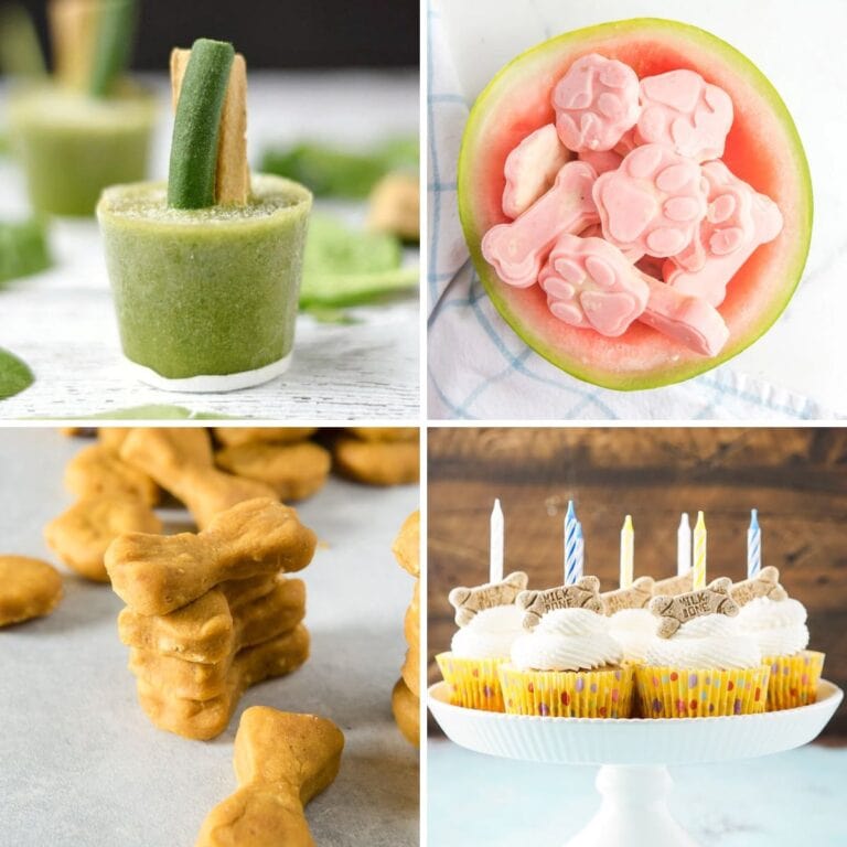 Homemade dog treats collage.