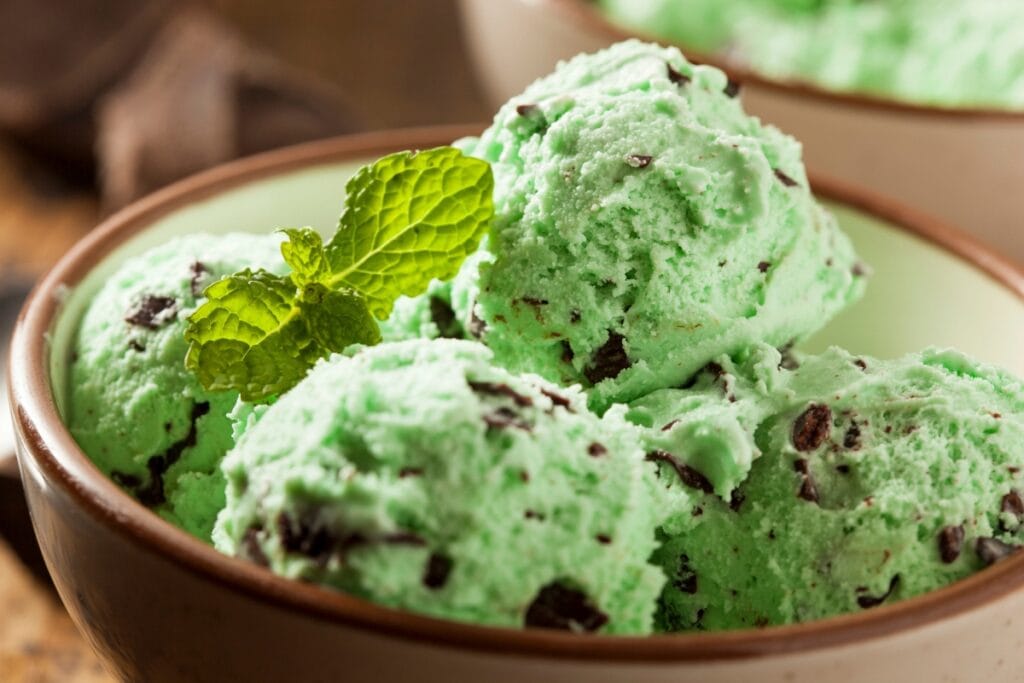 Mint chocolate chip ice cream in a bowl with a mint leaf garnish.