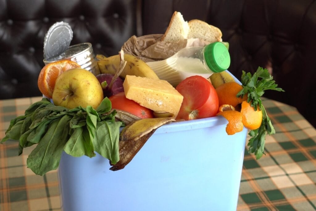 Expired food, stale food, and blemished fruits and vegetables in the trash bin.