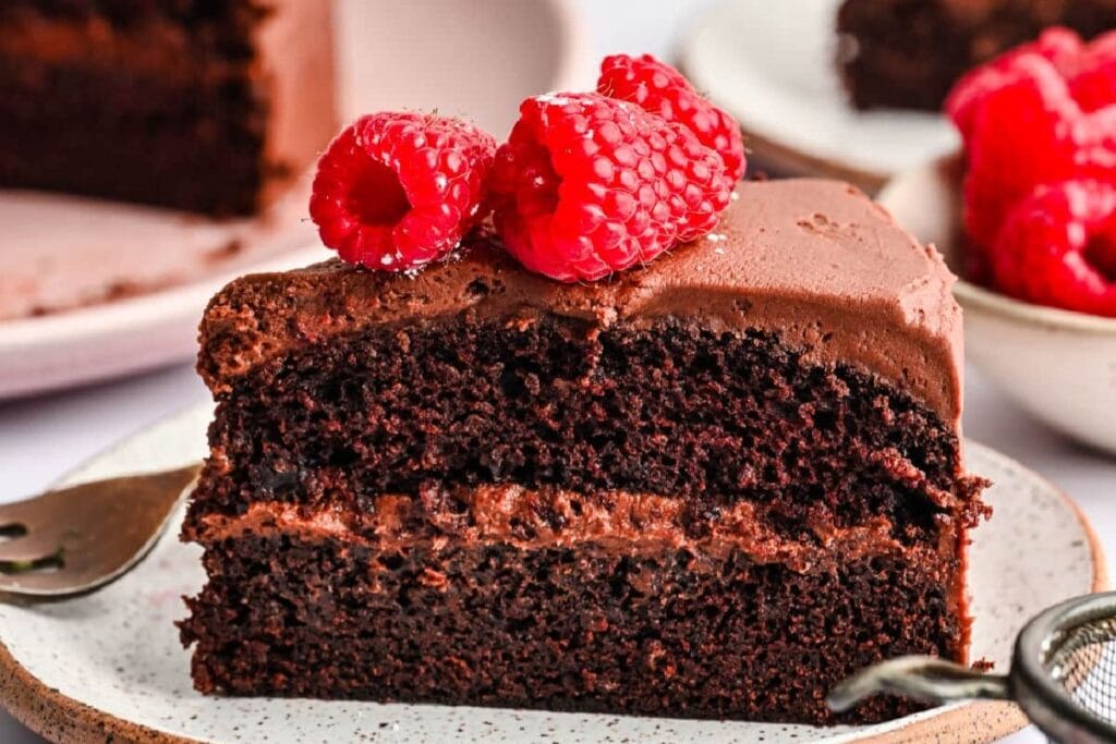 A slice of chocolate brownie.