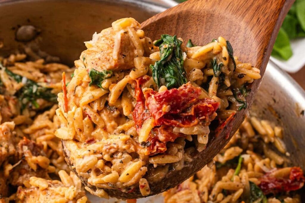 Close up shot of chicken orzo.