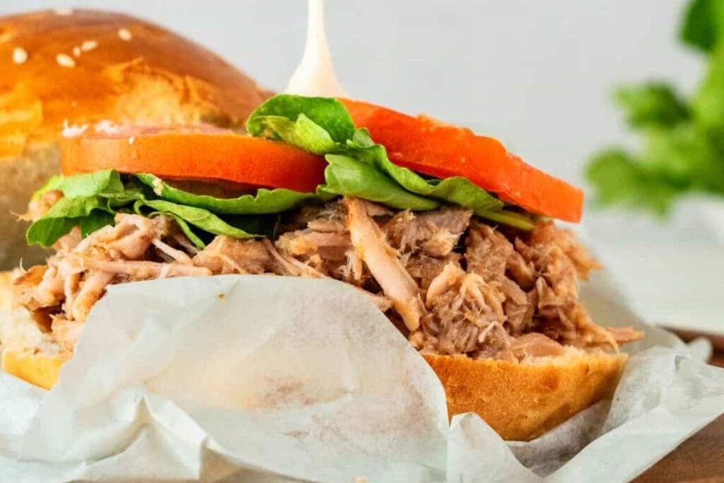 Close up shot of pulled pork burger.