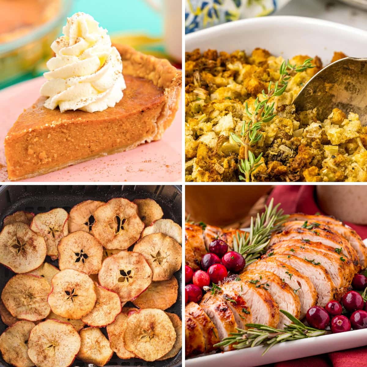 Collage of fall air fryer recipes