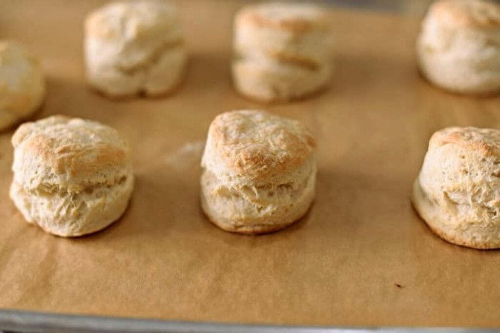 Homemade buttermilk biscuits on a wooden table..