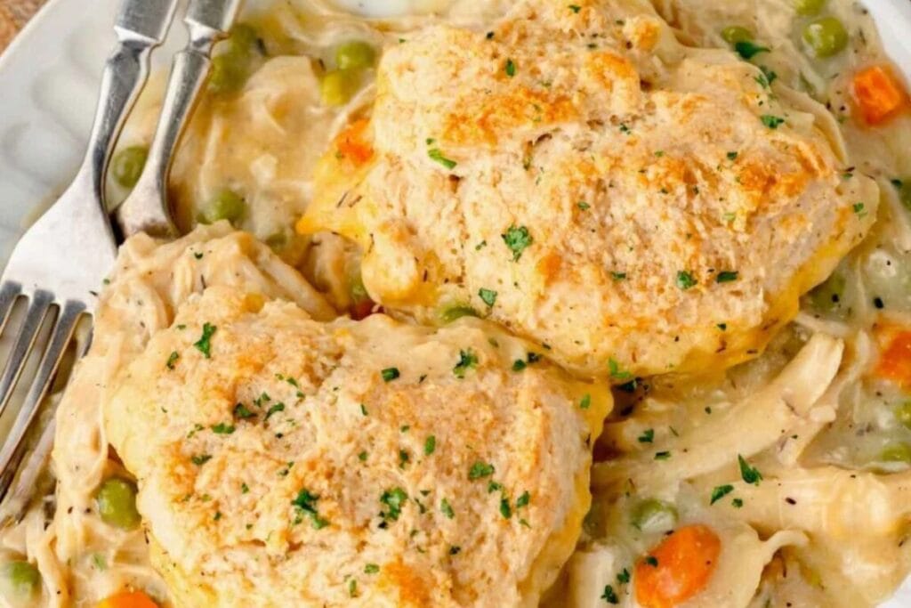 Chicken and dumplings on a plate.