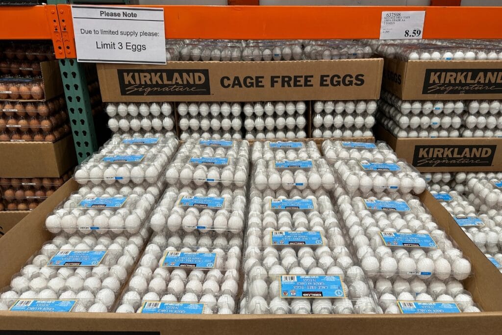 Containers of eggs displayed in Costco store.