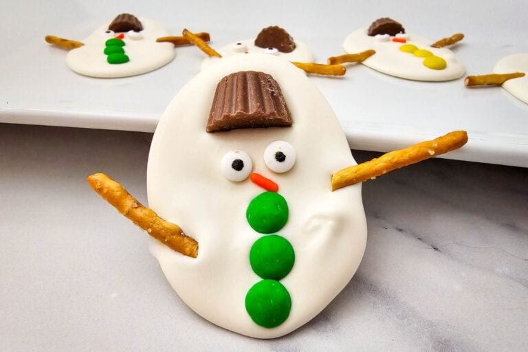 A close up shot of melted snowman bark.