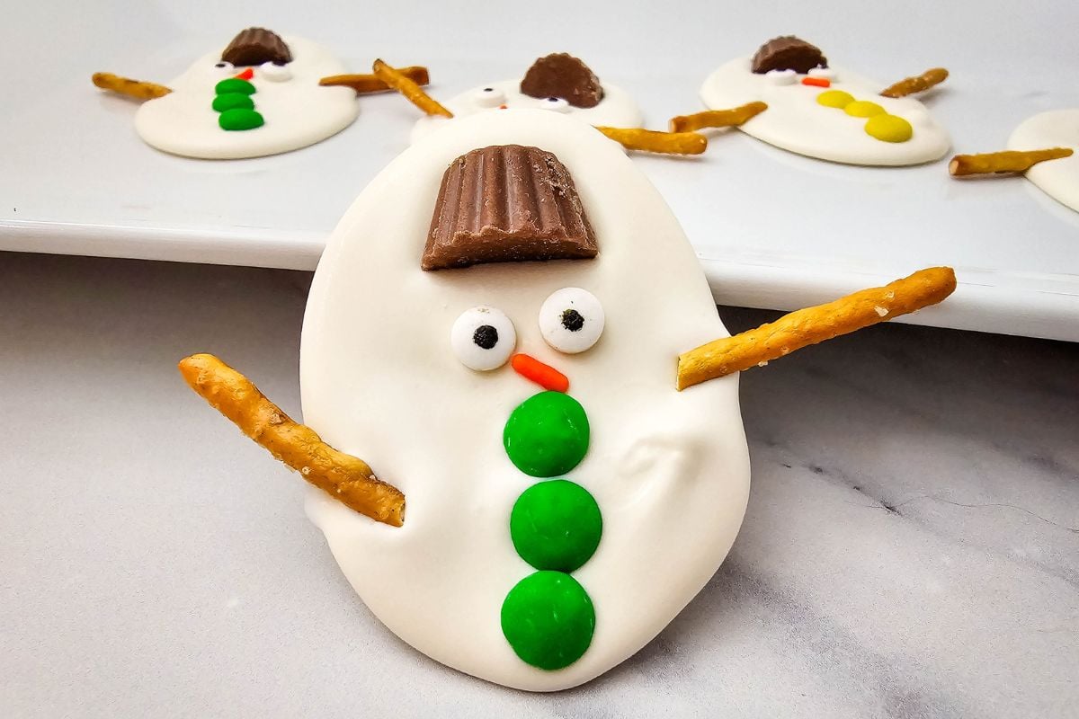 A close up shot of melted snowman bark.