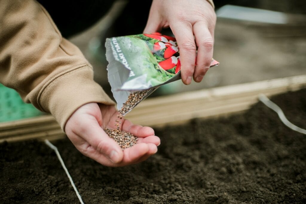 Woman holding plant seeds and planting them in soil.