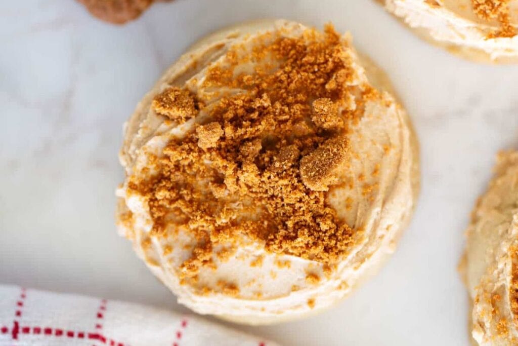 A close up shot of biscoff cookies.