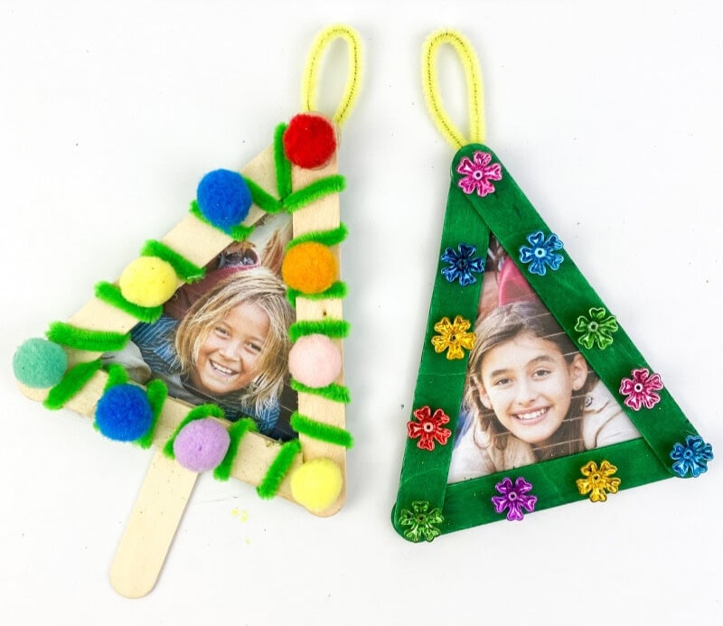 A close up shot of stick trees.