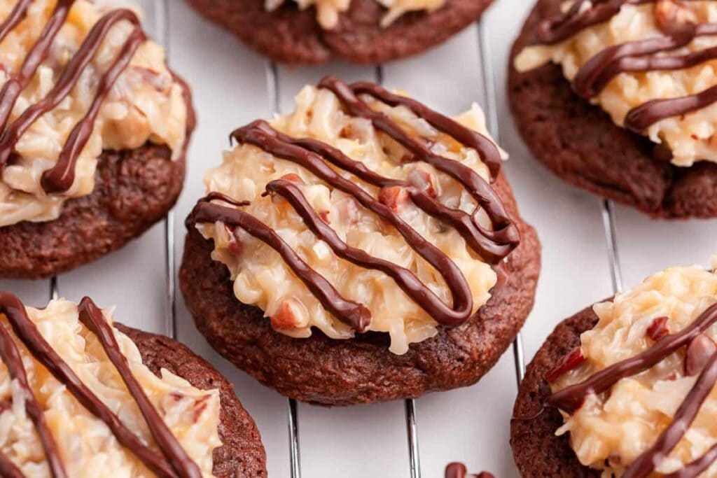 A close up shot of chocolate cookies.