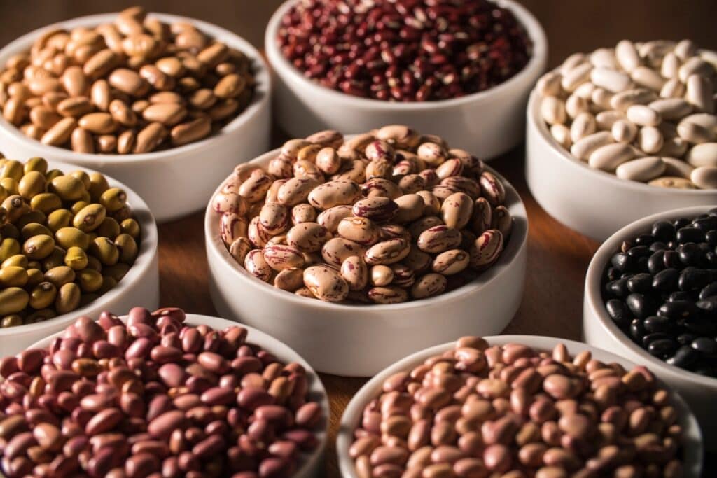 Bowls filled with different kinds of dried beans.