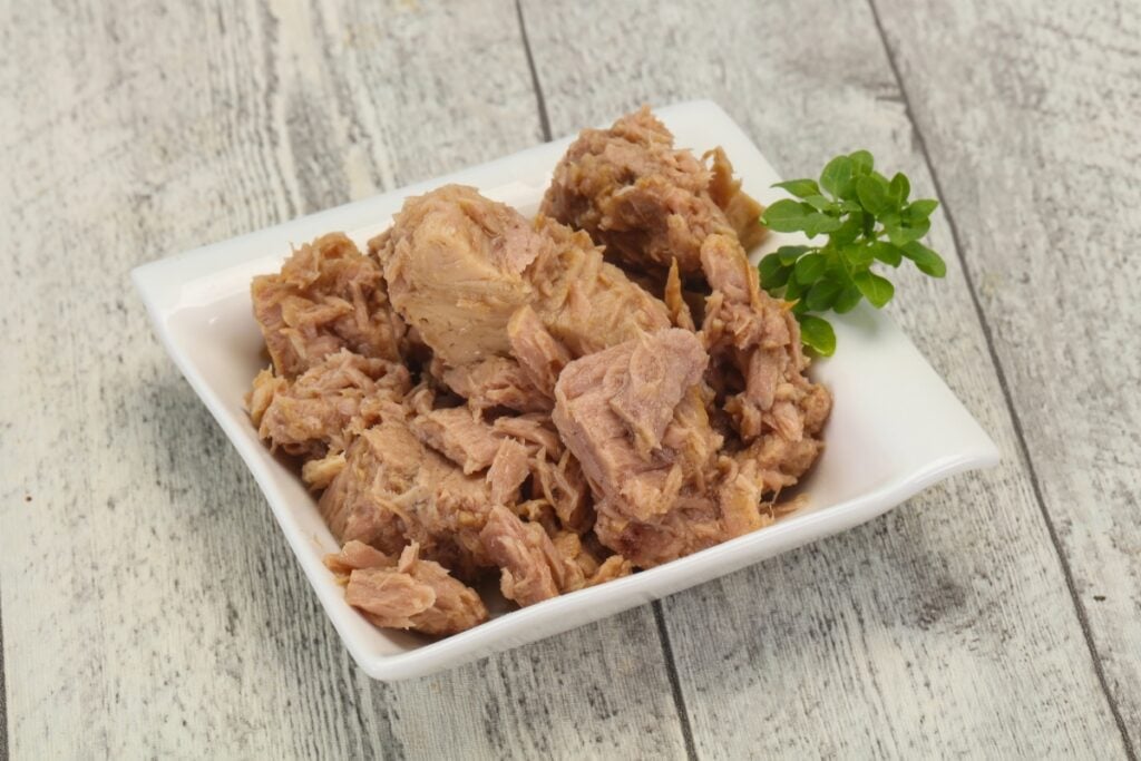 Canned tuna on a plate.