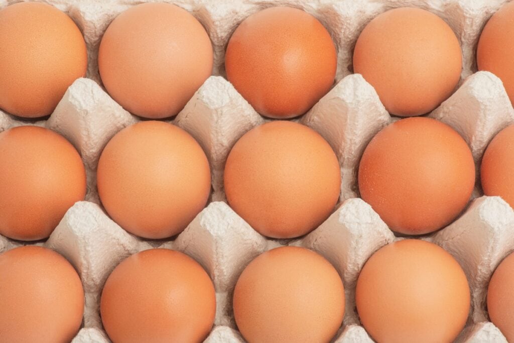 Fresh eggs arranged on tray.