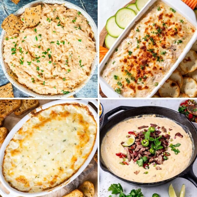 Collage of different dip recipes including cheesy chicken dip, baked tuna dip, hot cheesy artichoke dip, and steak queso dip.