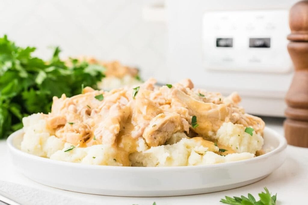 Creamy chicken and gravy served over mashed potatoes on a white plate with parsley.