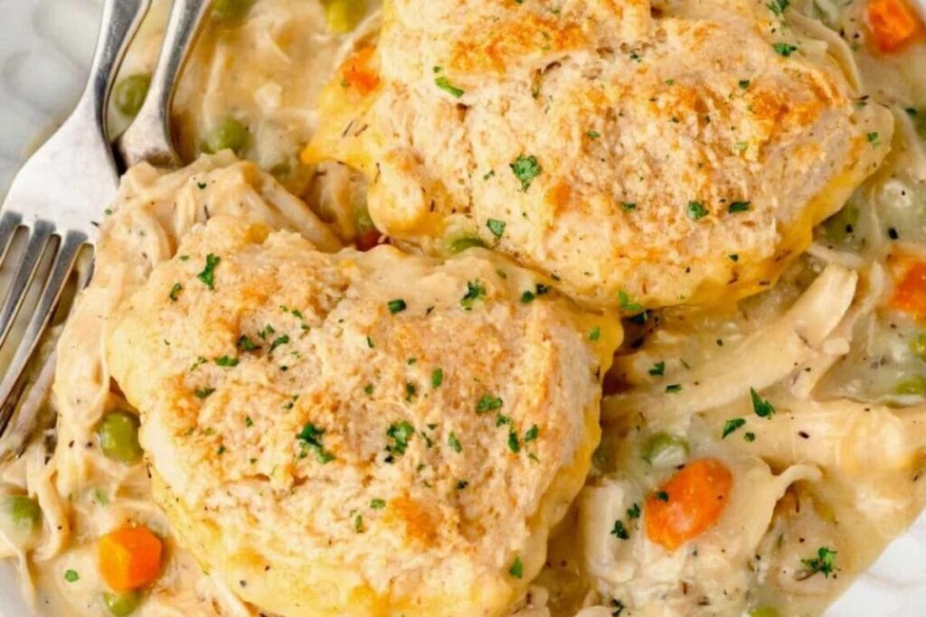 Bisquick chicken and dumplings close-up on a plate.