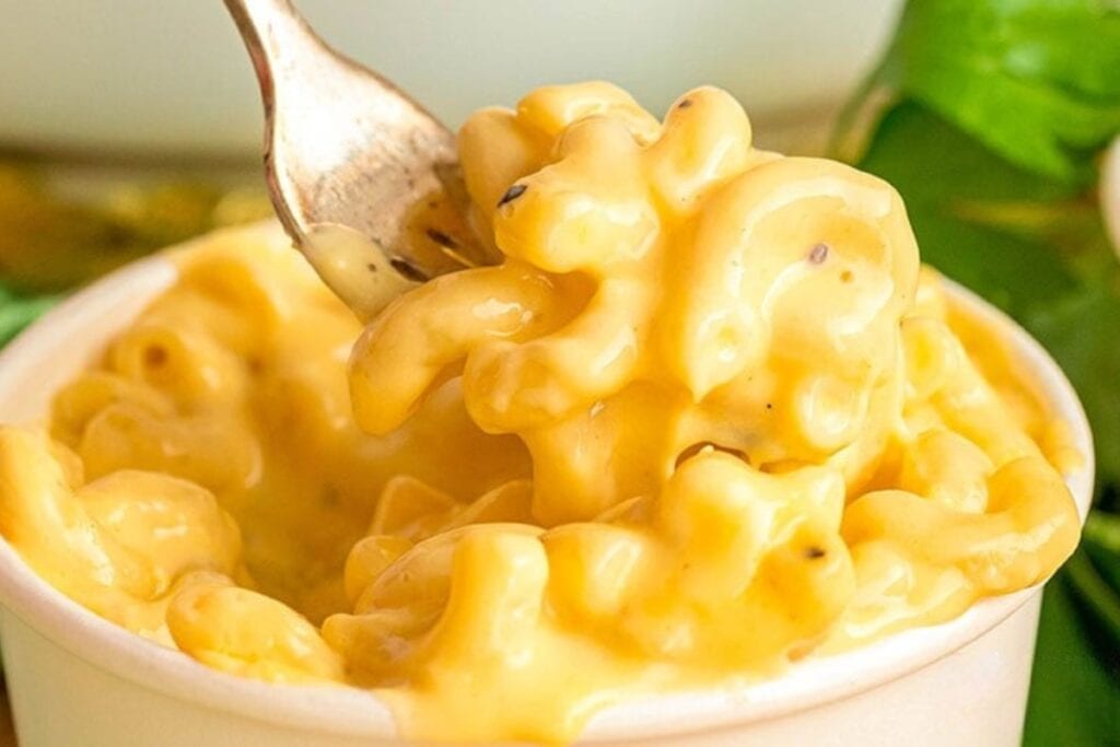 Close-up of four cheese mac and cheese in a paper cup, lifted with a fork.