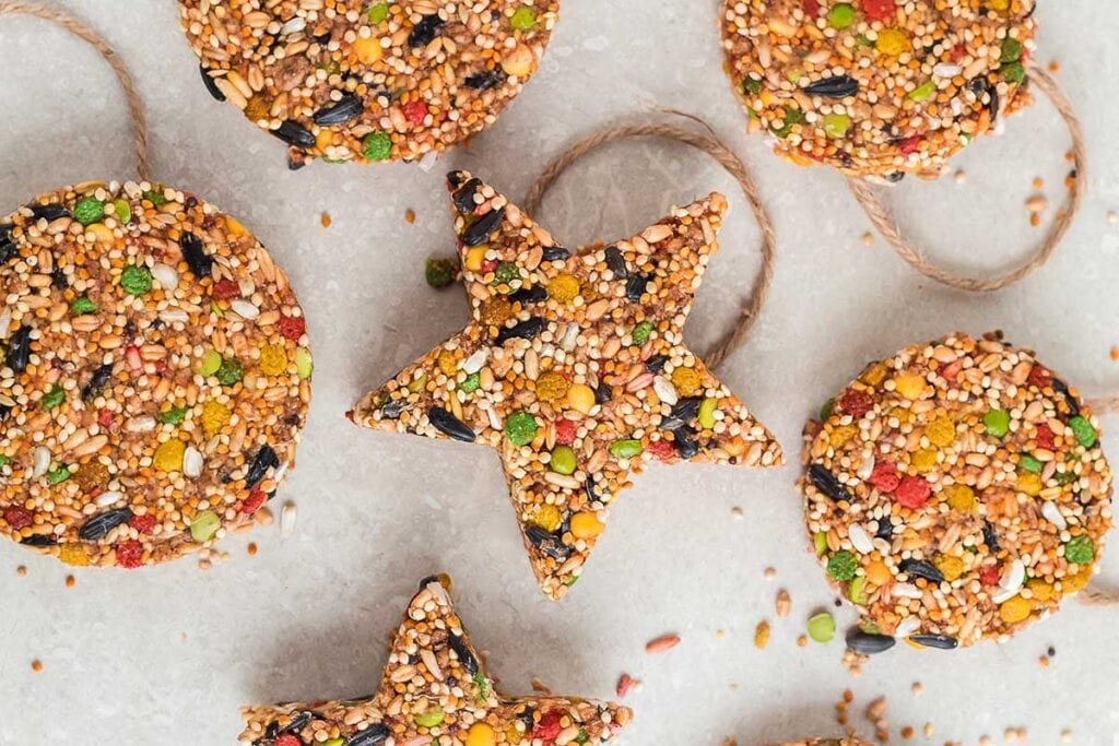 A close up shot of birdseed ornaments.