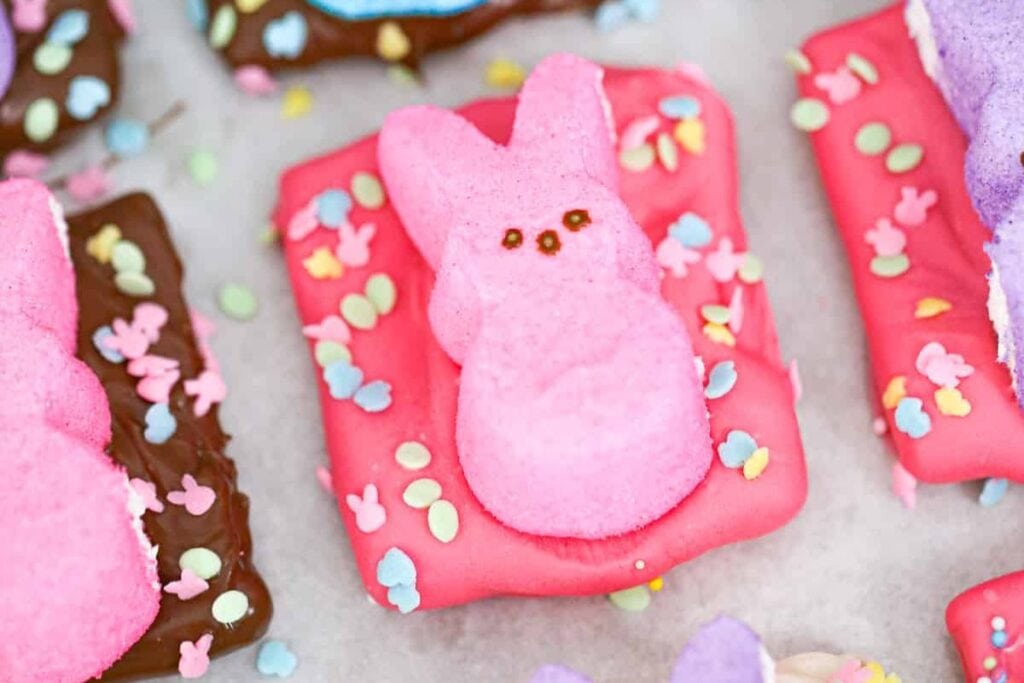 A close up shot of easter peep chocolate covered graham crackers.