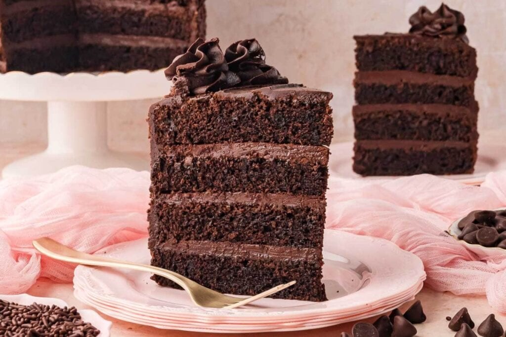A slice of double chocolate cake served on a plate.