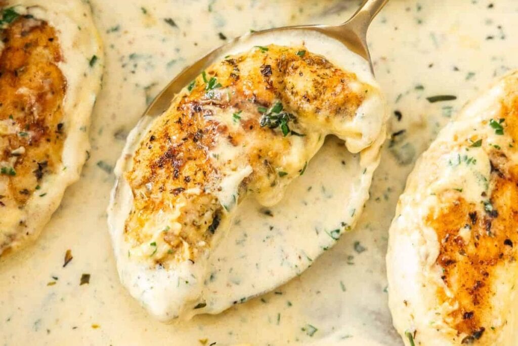 A close up shot of creamy chicken.