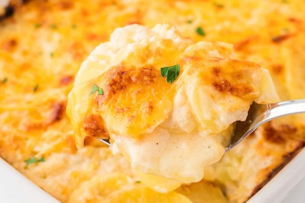 Scalloped potatoes on a spoon.