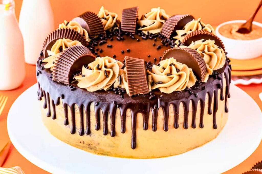 A close up shot of chocolate peanut butter cake.