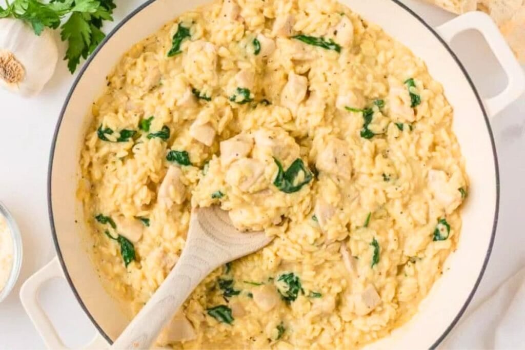 A close up shot of chicken and orzo.