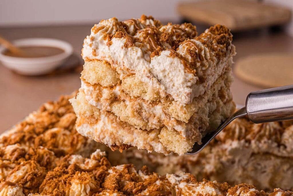 A close up shot of Biscoff tiramisu.