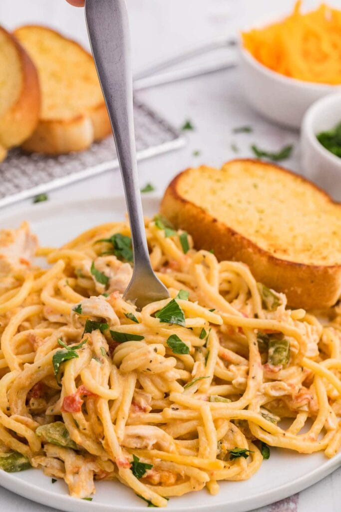 Creamy chicken spaghetti served on a plate.