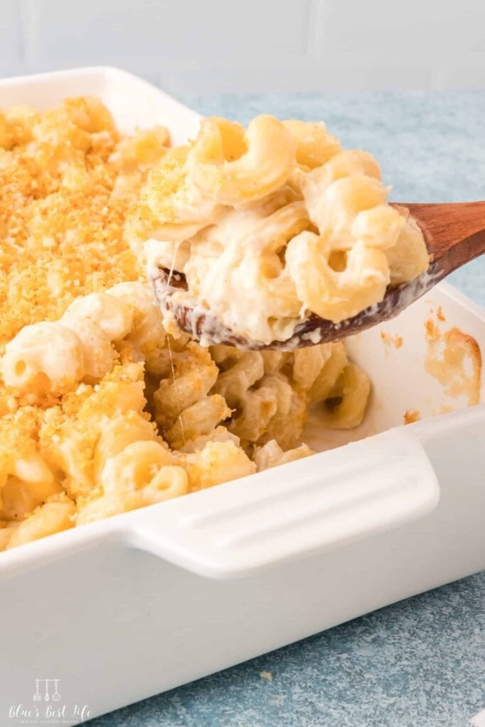 Brie mac and cheese on a wooden spoon.