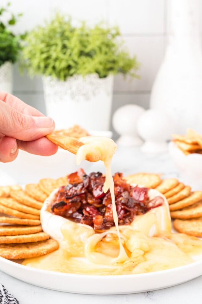 Candied bacon baked brie on a plate.