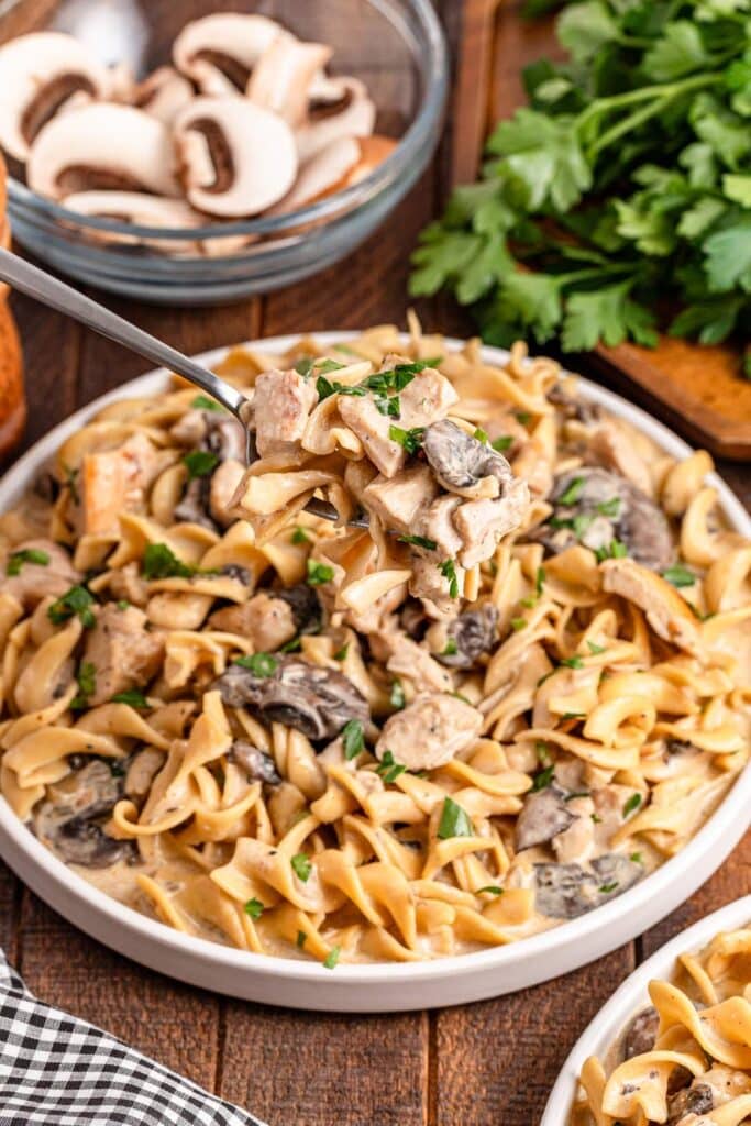 Chicken stroganoff on a plate.
