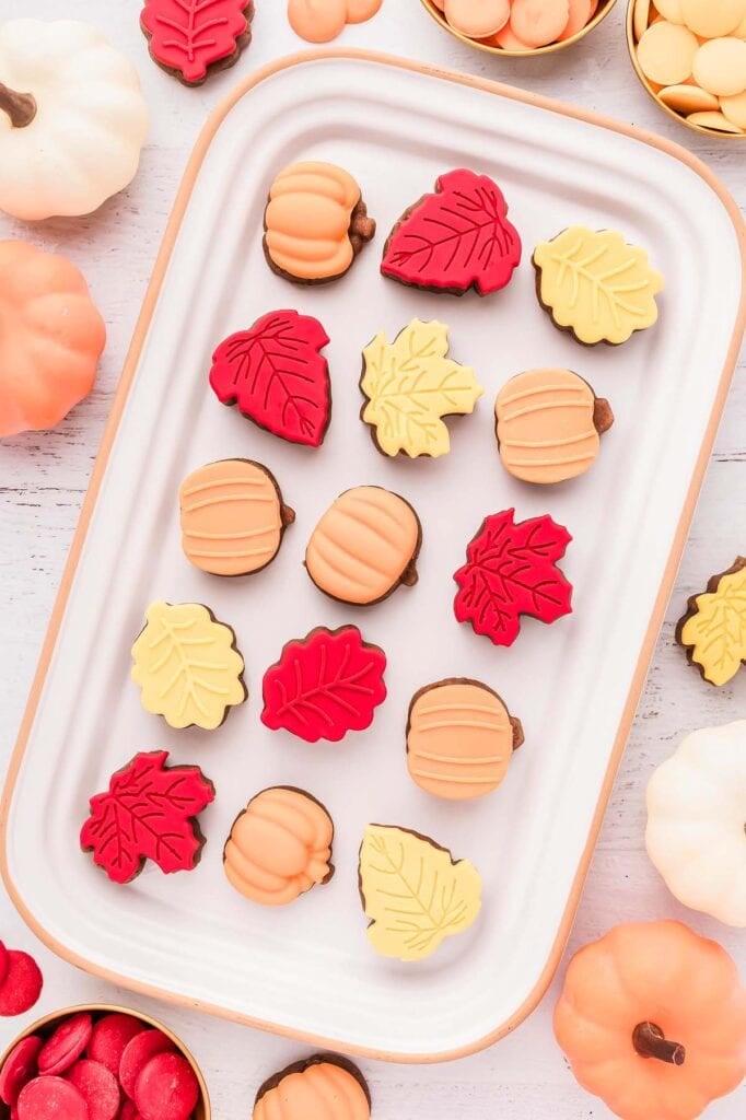 Fall cake bites on a plate