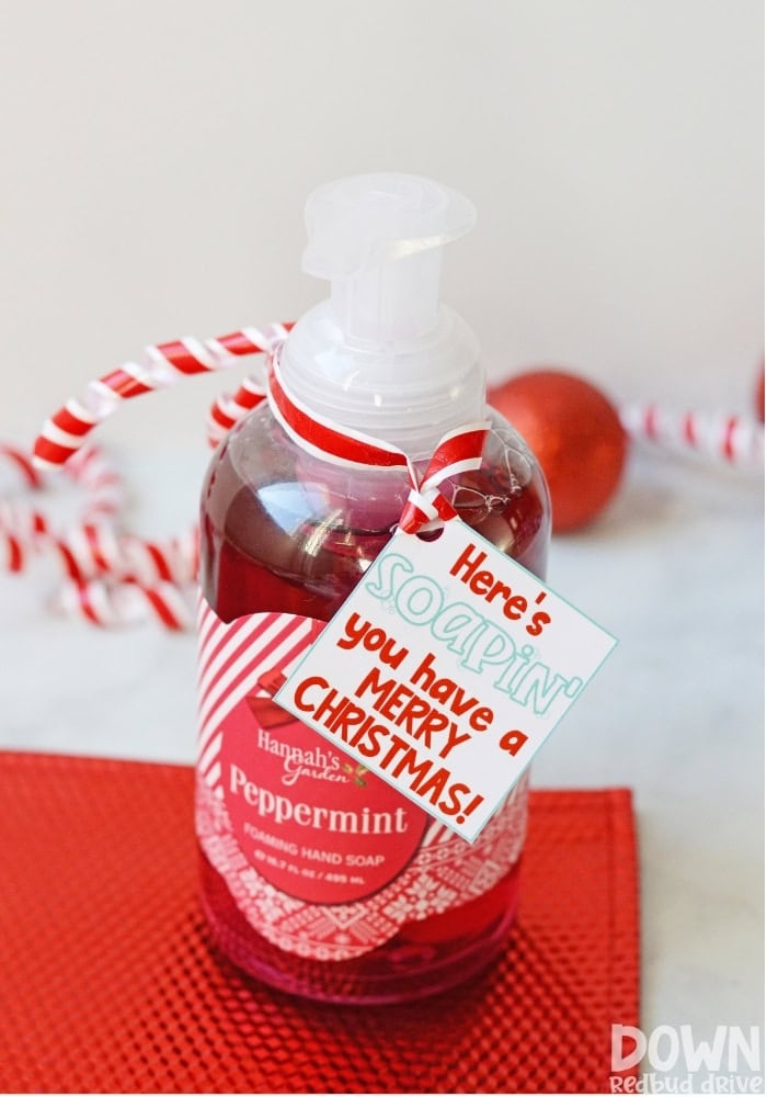 Peppermint foaming hand soap bottle decorated with striped ribbon, candy cane, and Christmas tag reading “Here’s SOAPIN’ you have a MERRY CHRISTMAS!” on red textured surface.