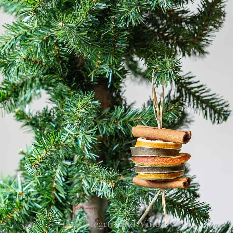 Rustic ornament of stacked dried fruit slices and cinnamon sticks tied with twine, hanging on Christmas tree branch.