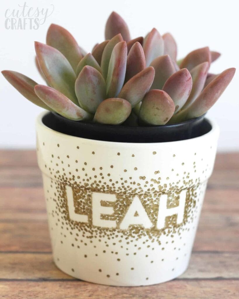Succulent with green-red leaves in white pot decorated with gold dots and name “LEAH,” placed on wooden surface with plain background.
